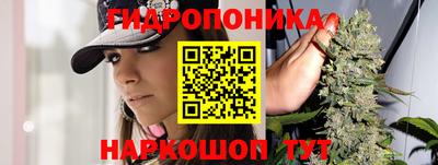 прущие грибы Можга