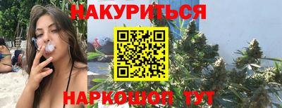 прущие грибы Можга